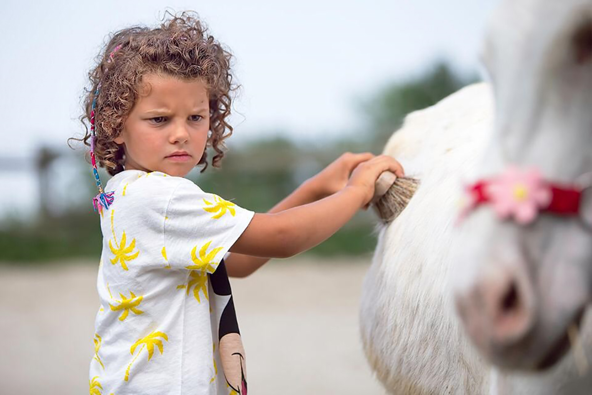 Pedagogia con animali